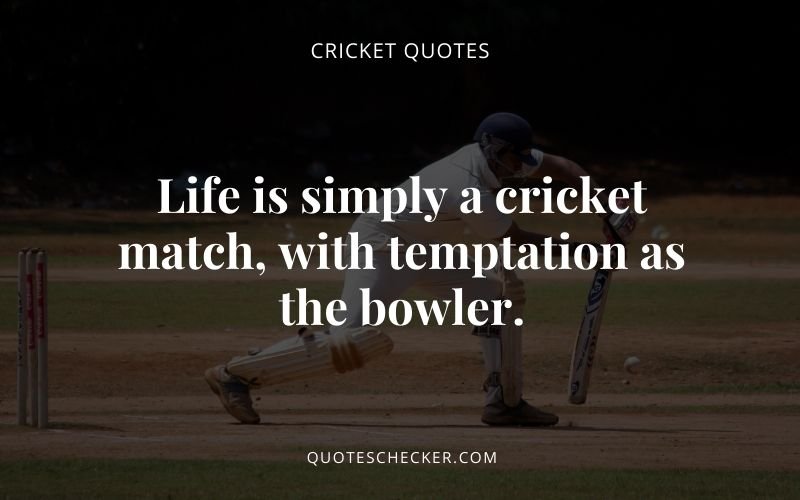 Cricket Quotes | QuotesChecker