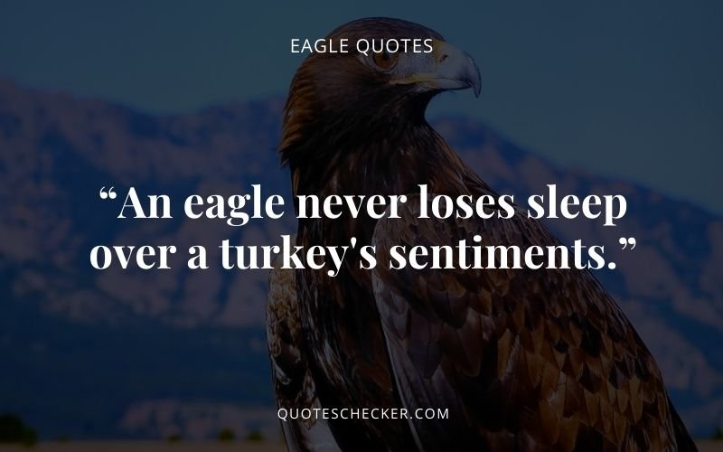Eagle Quotes | QuotesChecker