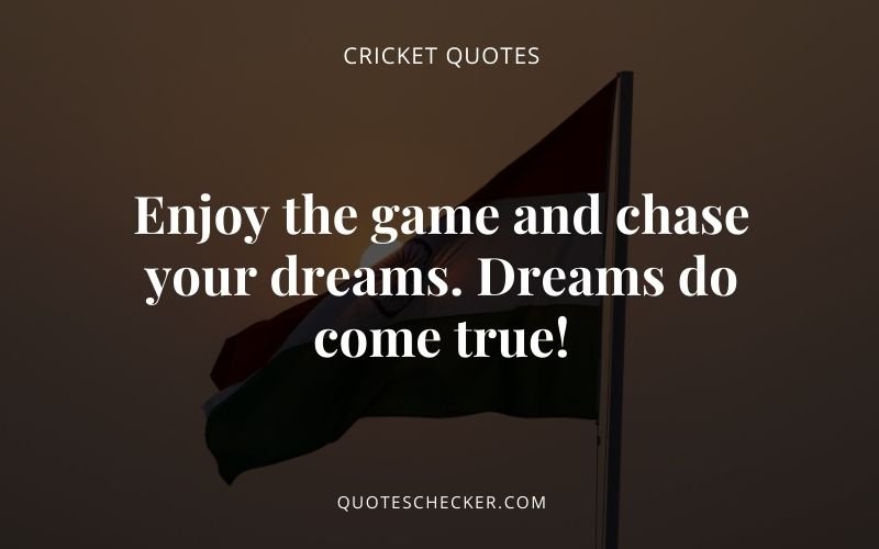 Cricket Captions | QuotesChecker