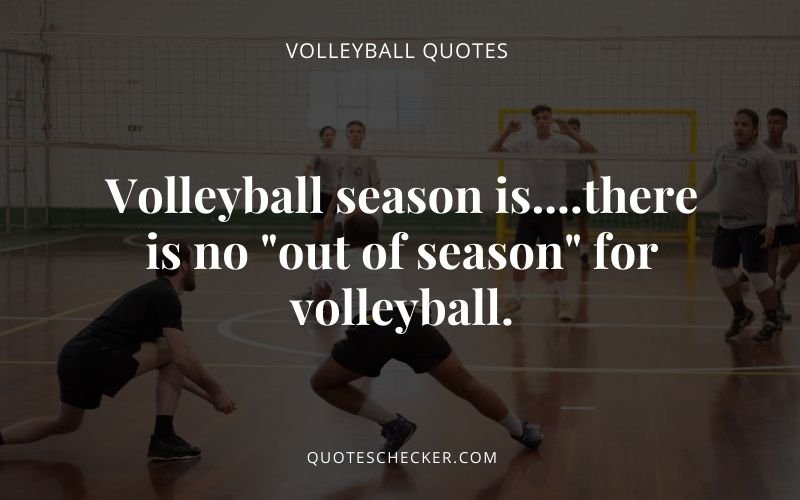 volleyball quotes | QuotesChecker