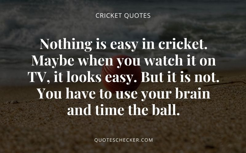 Cricket Lover Quotes | QuotesChecker