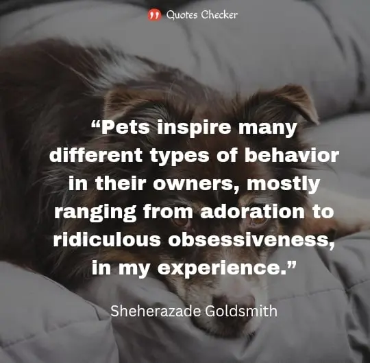 Quotes on love for Animals
