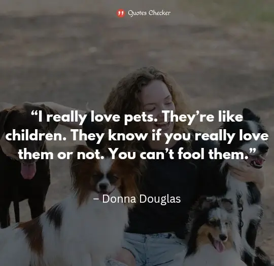Quotes on love for Animals