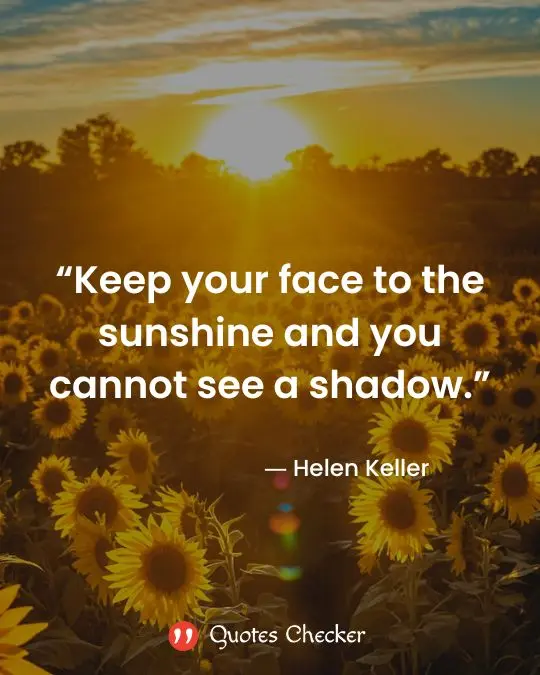 image with a sun-kissed quote