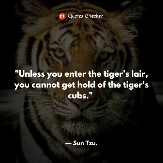 Tiger Quotes image