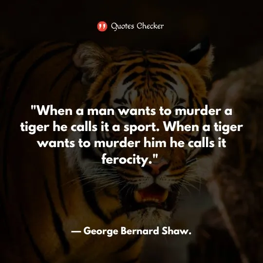 More Interesting Tiger Quotes