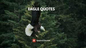 Eagle Quotes | QuotesChecker