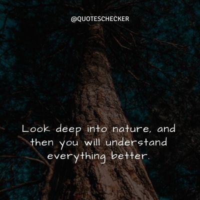 150 Nature Beauty Quotes, Captions, and Thoughts with Images