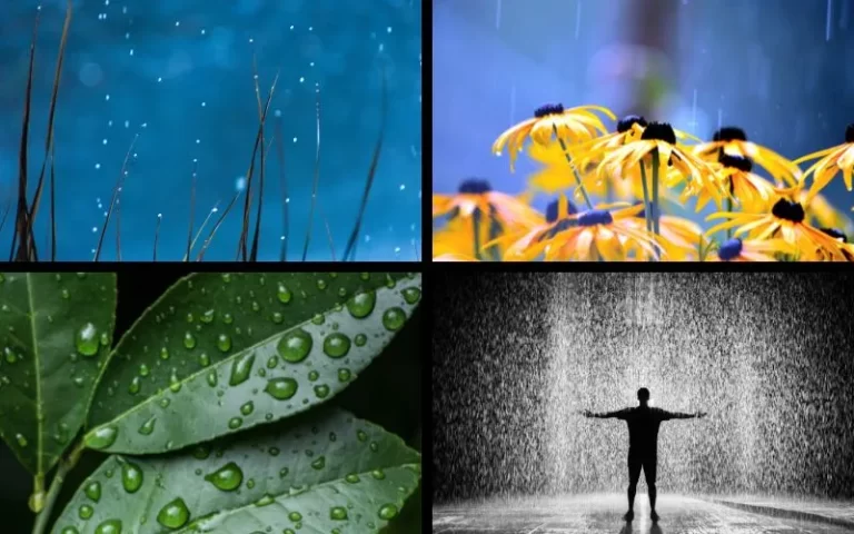 Featured Image for Best Raindrops Quotes