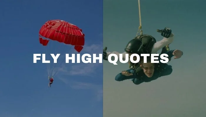 Image of fly high quotes
