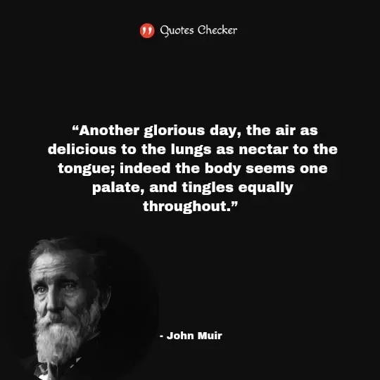 Quotes by John Muir for the Love of Nature