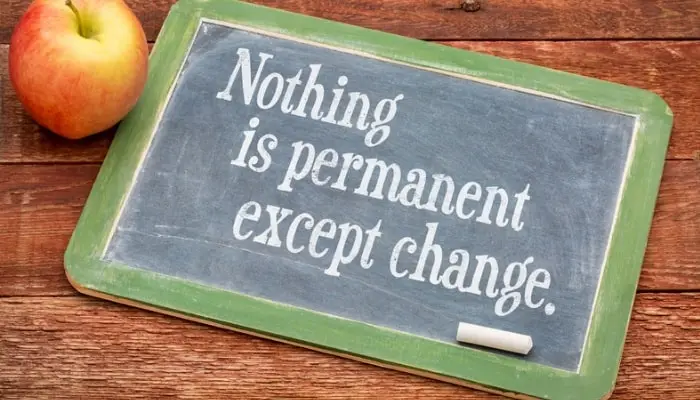 Nothing is permanent quotes